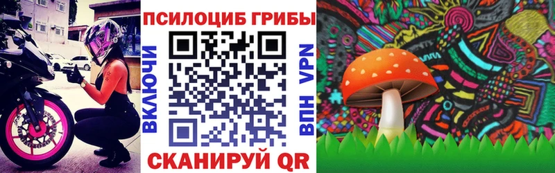 дарнет шоп  Жигулёвск  Псилоцибиновые грибы Cubensis 